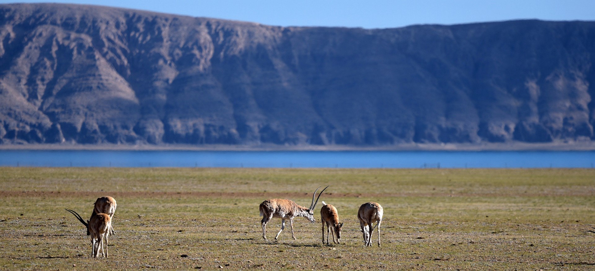 Adventure Tour across Northern Tibet Qiangtang to Kailash