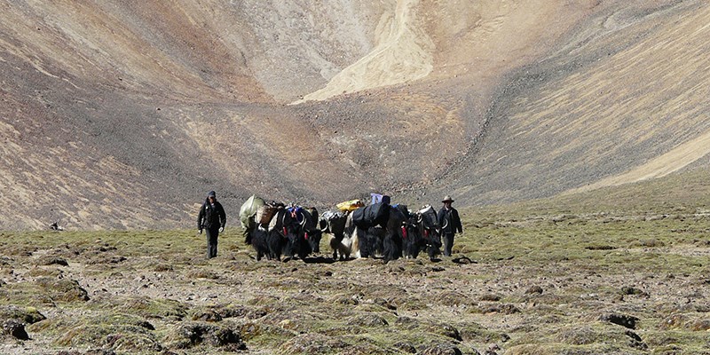 Trekking to Yangbajing