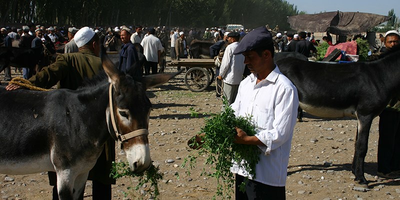 Kashgar