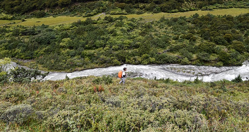 Trekking at Gongga Mountain